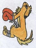 eeveeevolution.jpg image by sander2505