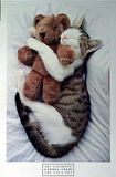 Kitty.jpg image by Ata-Anahera